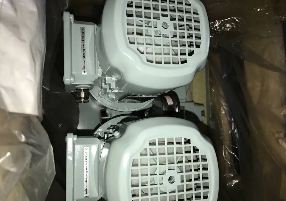 DS1 750 pompa śrubowa wrzecionowa - Zdjęcie 2